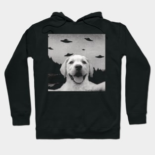 Funny UFO Selfie Labrador Retriever Hoodie